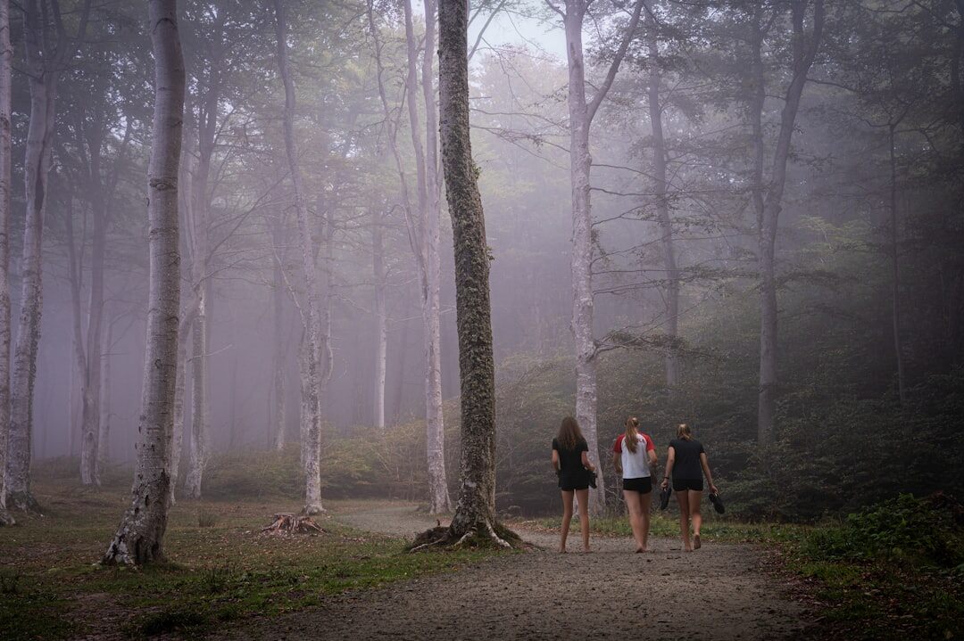 person walking in peaceful forest